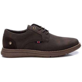 REFRESH 172186 Schoen - BRUIN