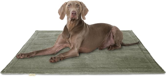 Knuffelwuff Cord Hondenkleed Timor 80x60cm Khaki