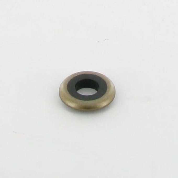 Briggs & stratton ring