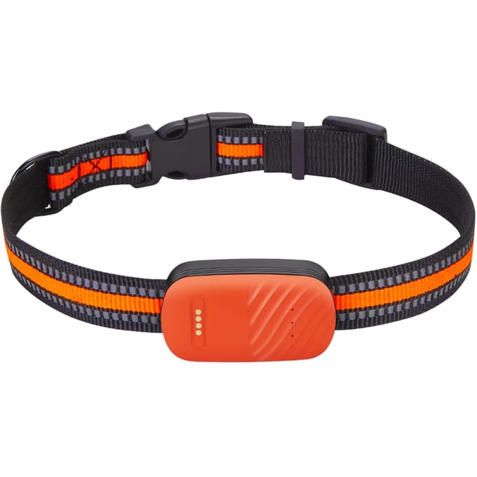 Traceur GPS pour animaux de compagnie, clôture électronique étanche, collier pour chien et chat, prévention des pertes, positionnement Multiple orange