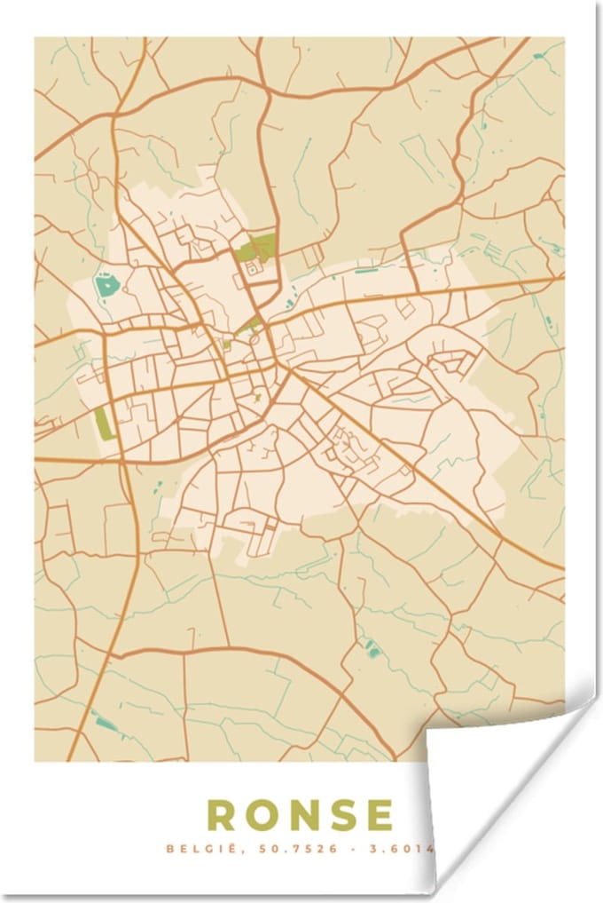 Poster België - Plattegrond - Kaart - Ronse - Stadskaart - 40x60 cm