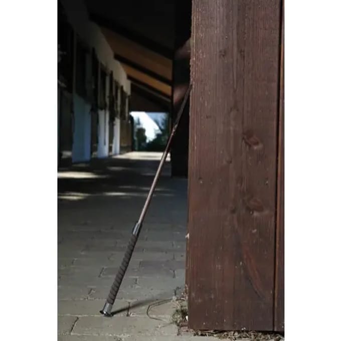 Rijdende zweep Equipage