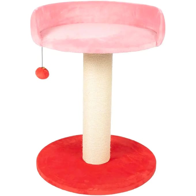 Kattenboom Coockoo Berry Breeze