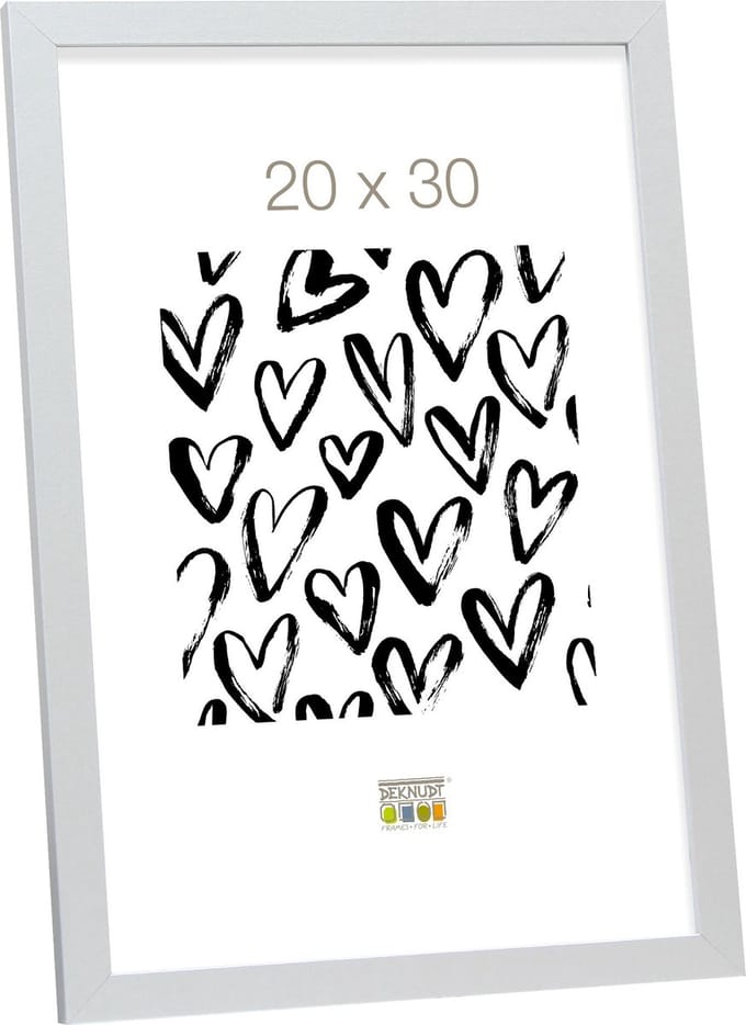 Deknudt S44CD1 20X30 Wissellijst Papierformaat: 20 x 30 cm Zilver