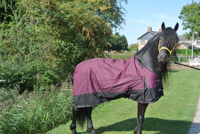 Regendeken luxe 150 gram Zwart/wine red Buitendeken