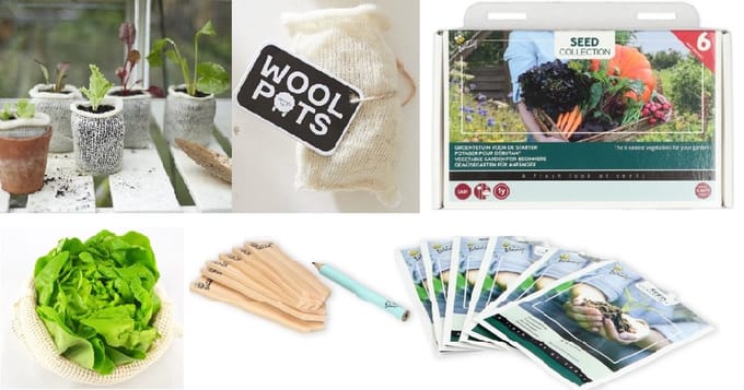 Wool Pots met 6 soorten groenten zaden