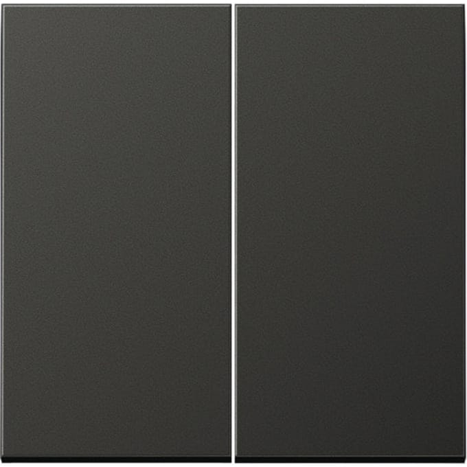 Jung LS-bereik Bedieningselement/Centrale Plaat schakelkast - AL2995AN - E29ZN