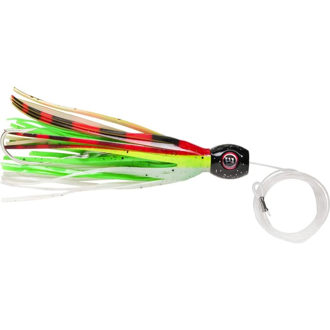 Lok Williamson Hspeed Sailfish
