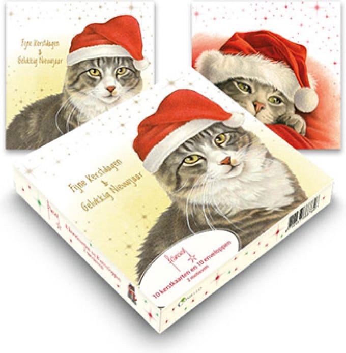Franciens Katten kerstdoosje - Kat met muts - Kitten op deken