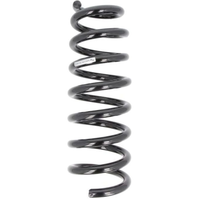 Chassisveer SACHS 993 540