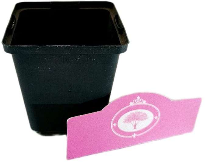 Kweekpot laag P9 - 9x9x10cm, 0,7 liter - 25 stuks