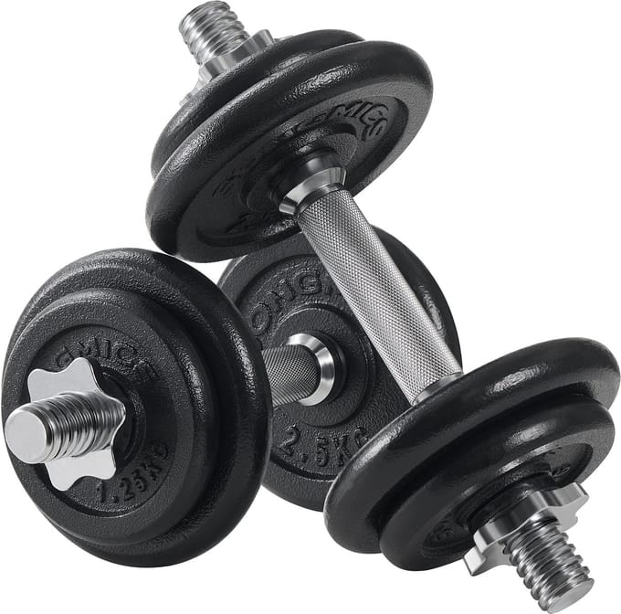 SONGMICS - Dumbbell - Verstelbare Halterset - 2 x 10 kg Gietijzer - Voor Thuis Fitnesstraining