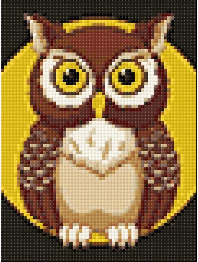 Wizardi Diamond Painting Night Owl WD308