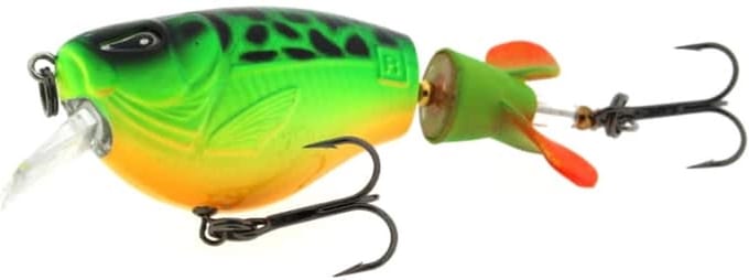 Rozemeijer Fat Dizzy Speckled Fire Tiger 9cm Speckled Fire Tiger