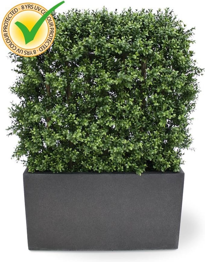 Buxus deluxe kunstheg 80x100cm - UV bestendig