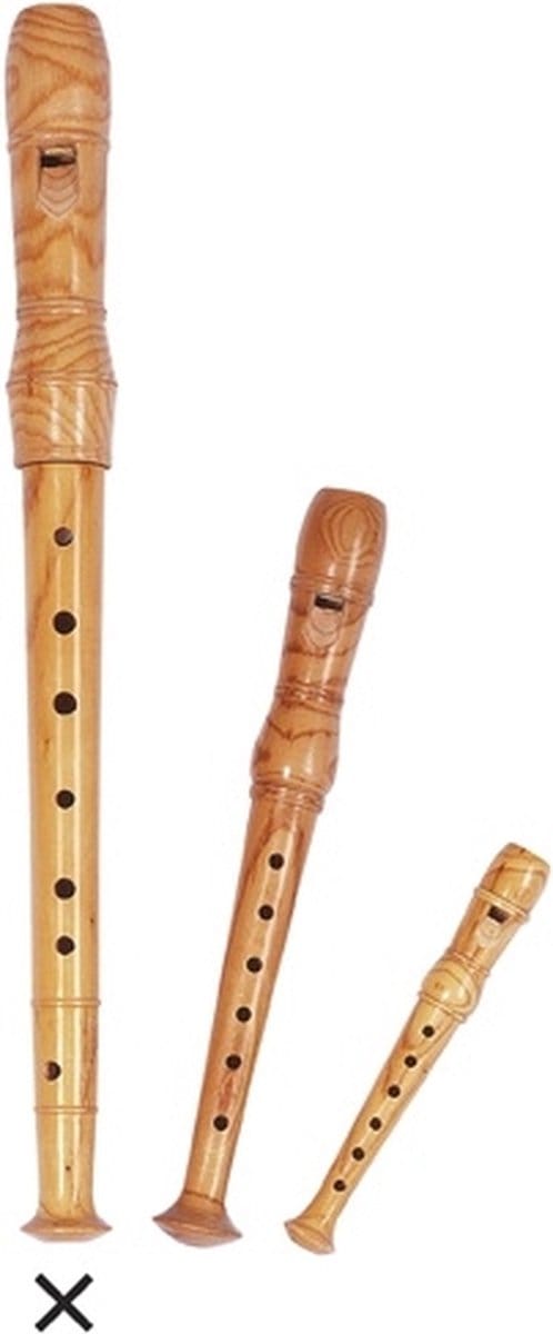 GOKI Muziek - Blokfluit C-Sopraan - L32Cm - Met Veger - 5 Jaar