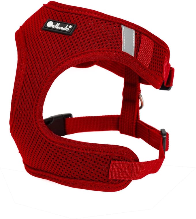 Petlando Mesh Vest Rood - maat XL