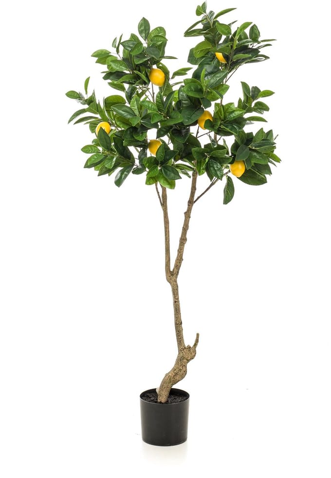Emerald - Kunstboom citroen 150cm - Kunstplant voor binnen