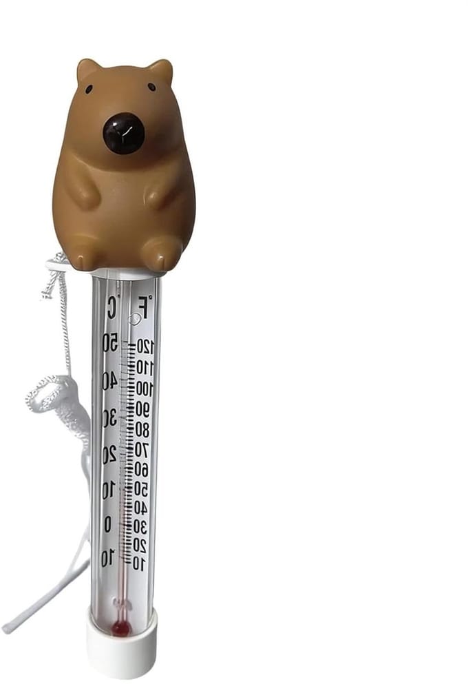 Zwemband Thermometer - Watermeter Spa - Water Temperatuur Meten - Drijvend Digitaal Display - 22 cm - Wit