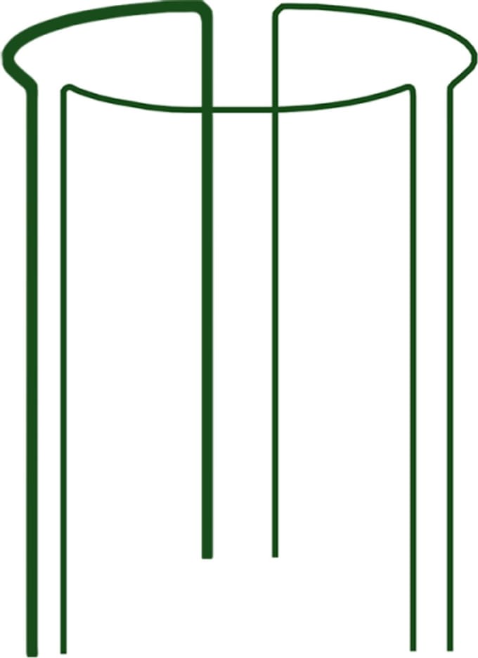 Bradas - Plantensteun - Ringvorm - Modulaire Constructie - Staal