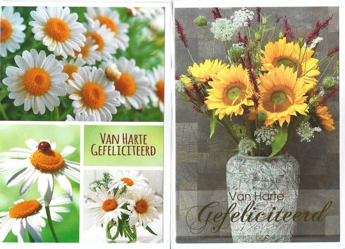 Verjaardagskaarten. Wenskaart met enveloppen. 10 stuks