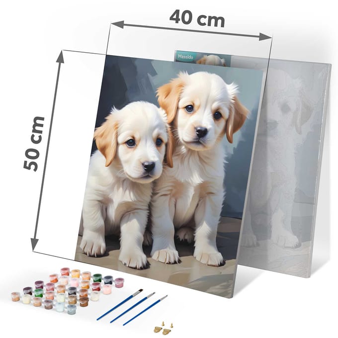 Schilderen op nummer 40x50 cm Massido Puppies