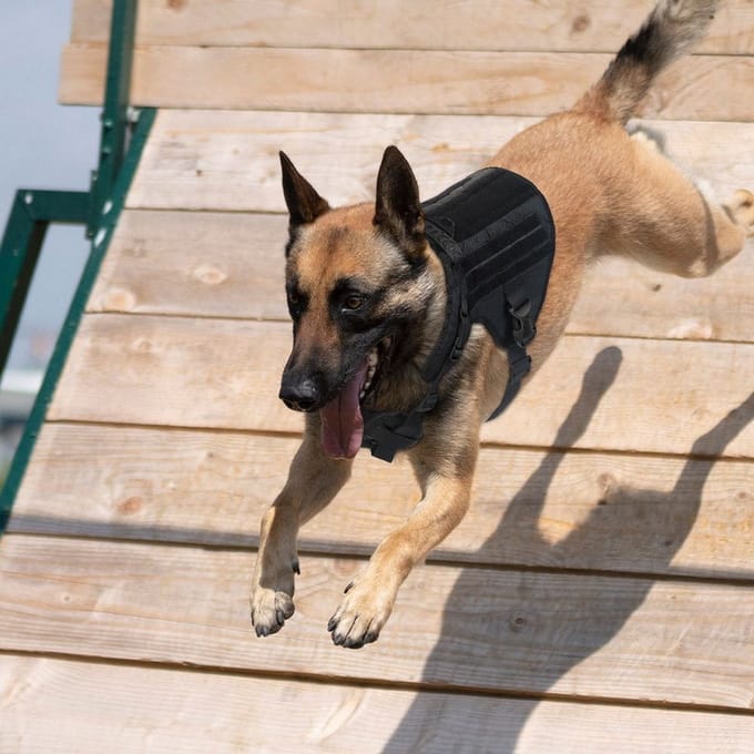 Honden tuigje - K9 - Tactical dog harness - M zwart