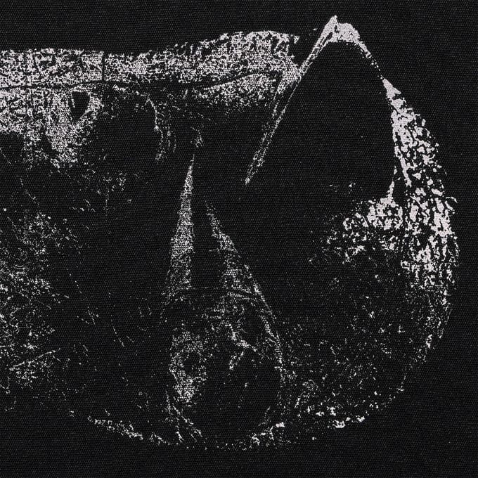 Demon Head - Viscera (LP)