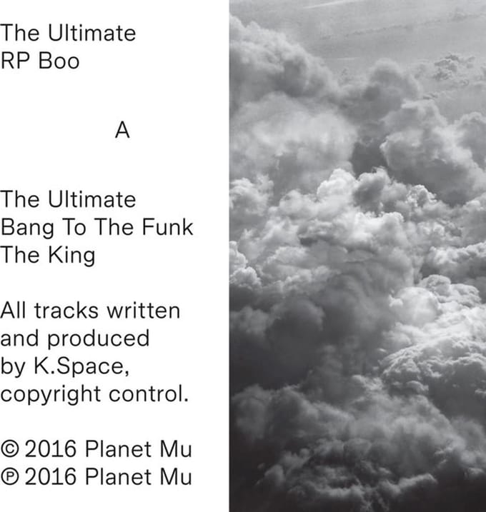 The Ultimate (12" Vinyl Single)