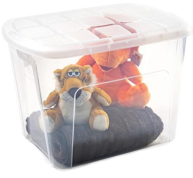 Plasticforte Opbergkist met deksel - Multi Purpose Box - 75 liter - 60x42x43 cm - kunststof - transparant