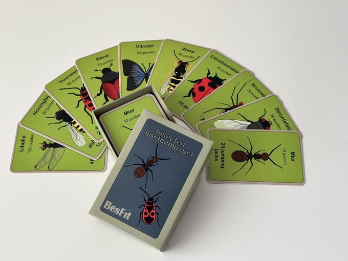 Bootcamp insectenspel - Beweegspellen - Bootcamp - Bootcampspel
