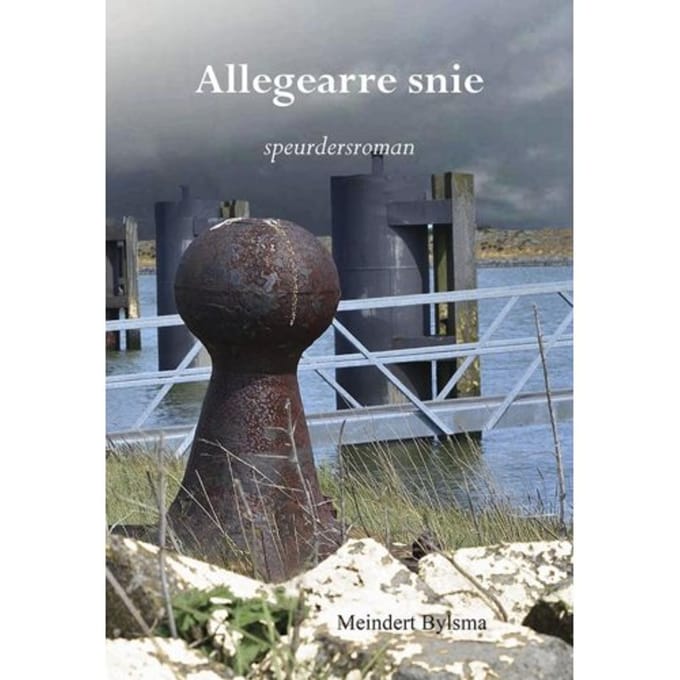 Allegearre Snie - Meindert Bylsma