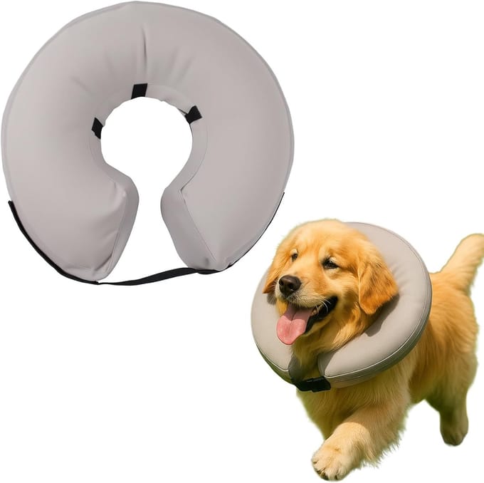 Adjustable Inflatable Pet Collar for Dogs - Postoperative Recovery - Wond Genezing - Grijs