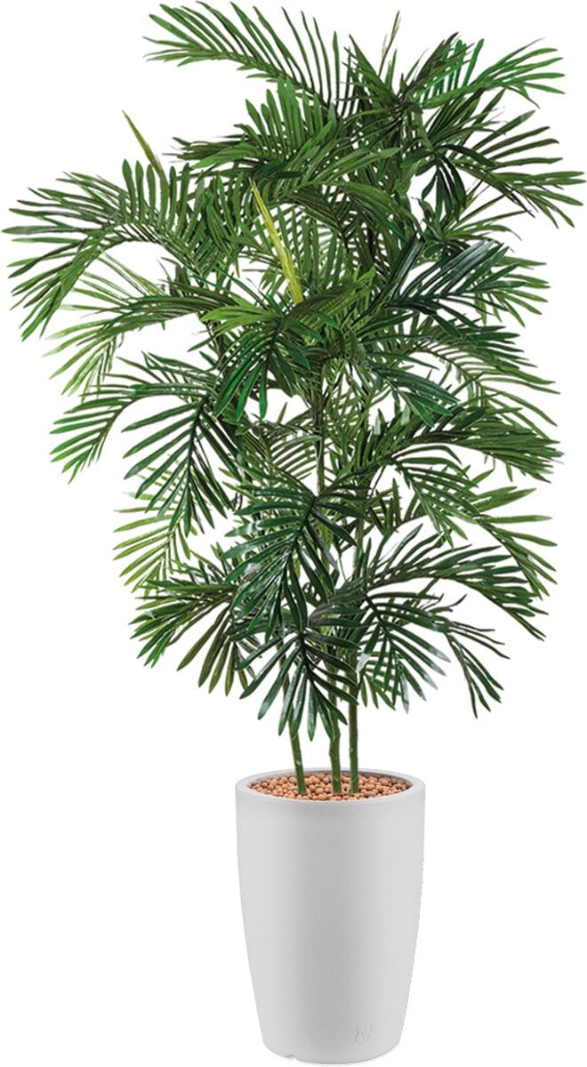 HTT - Kunstplant Areca palm in Genesis rond wit H190 cm