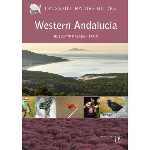 Western Andalucia - Crossbill Guides - Dirk Hilbers