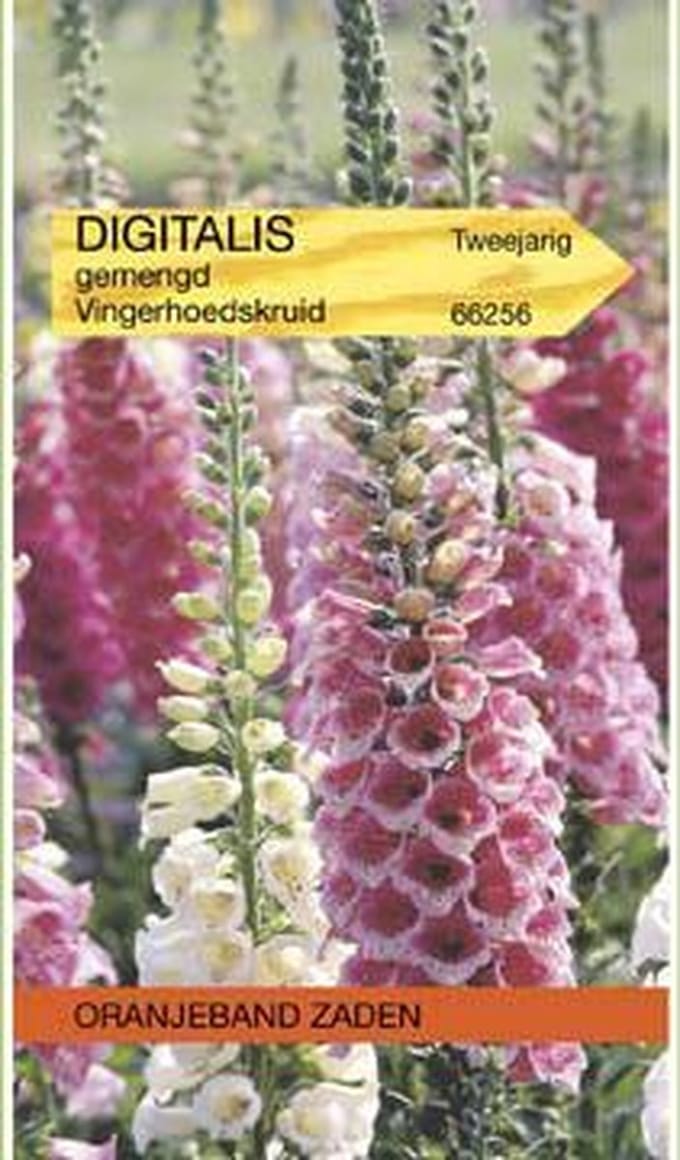 Digitalis, Vingerhoedskruid gemengd