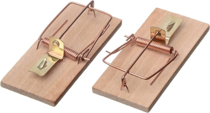 Ubbink Muizenval - 2x stuks - muizenklemmen - 10 cm - Ongediertebestrijding