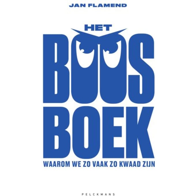 Het Boosboek - Jan Flamend