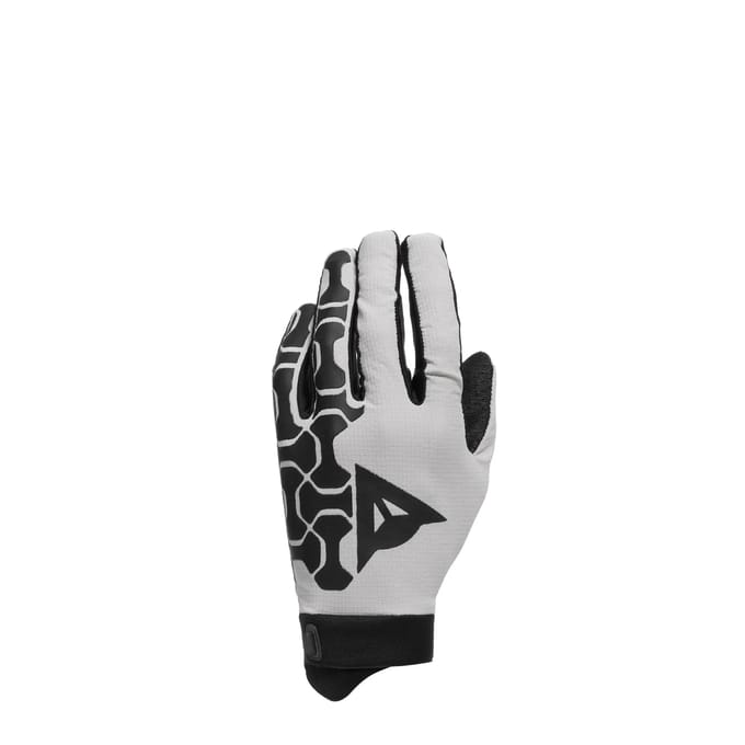 Lange handschoenen Dainese HGR