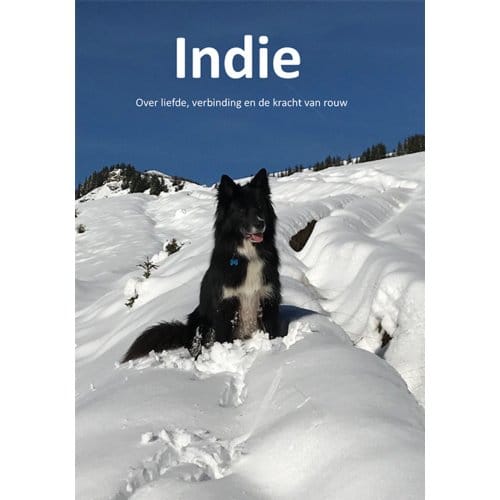 Indie - Petrus Dispa