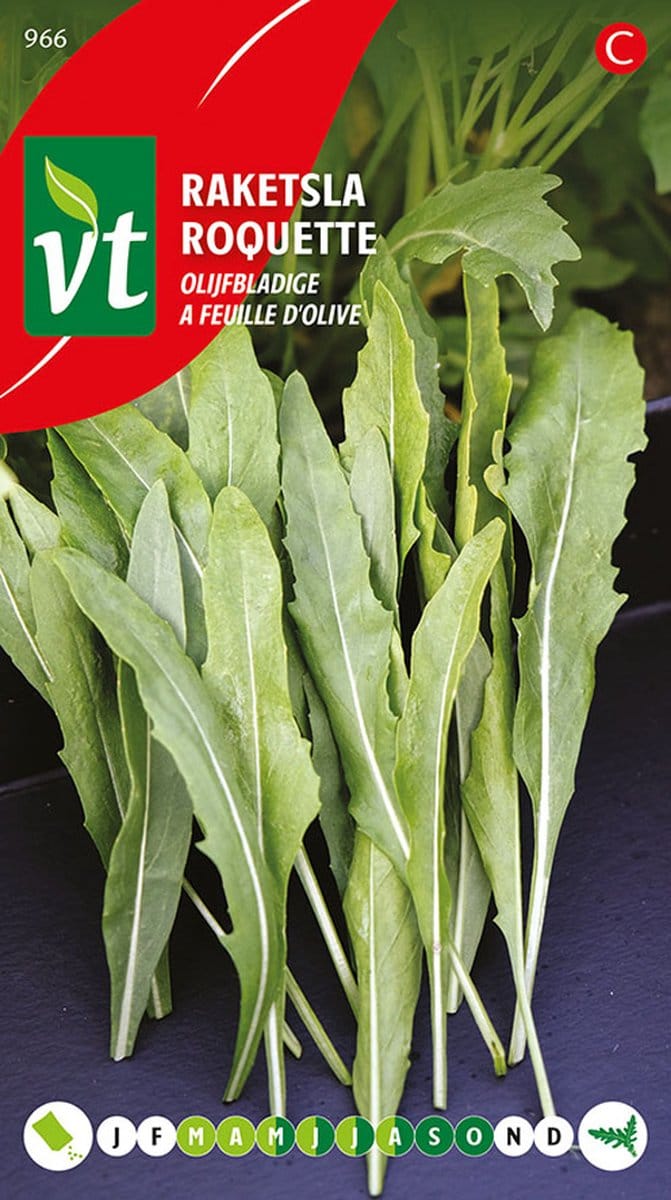 Raketsla 'Olijfbladige' Zaden - Authentieke Italiaanse Rucola