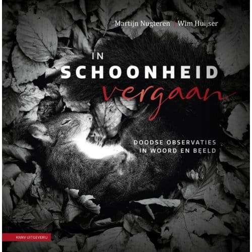 In Schoonheid Vergaan - Wim Huijser