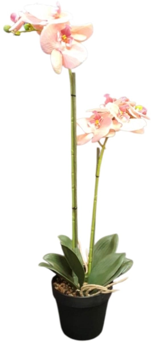 Mica Decorations kunstplant Phalaenopsis h67xD25cms Orchidee zalmon kleur