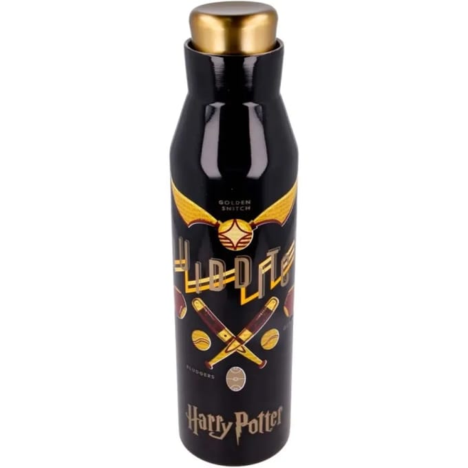 Roestvrijstalen thermosfles Stor Harry Potter