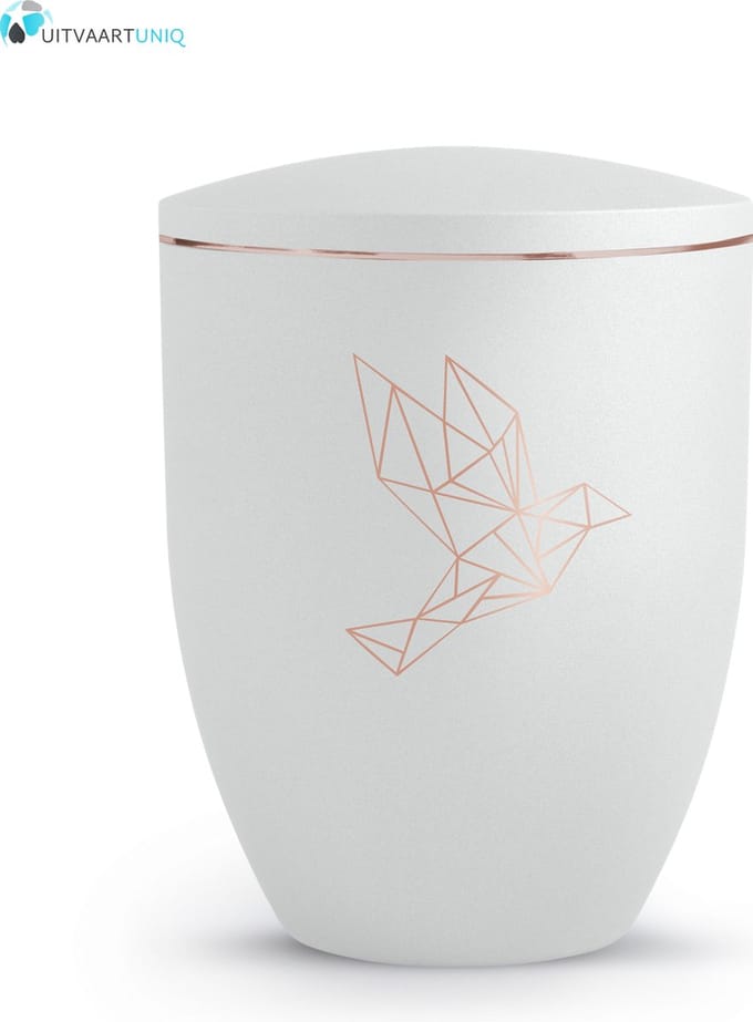 Urn velvet duif - bio