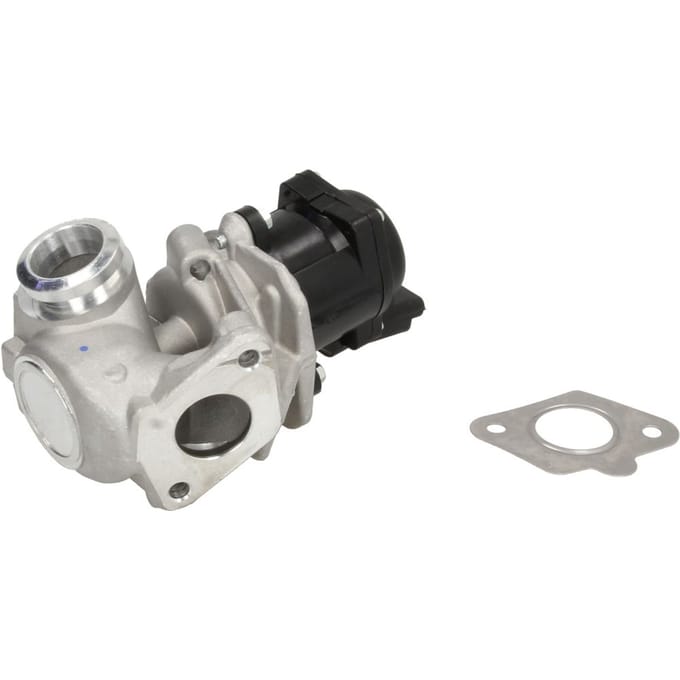 Borg Warner EGR-klep WAHLER 711021D