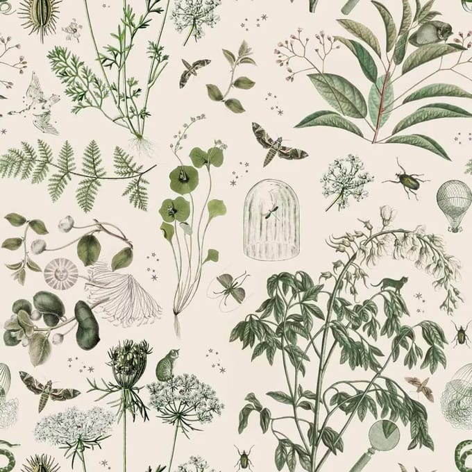 Baby behang Dekornik Green Botanical Stories
