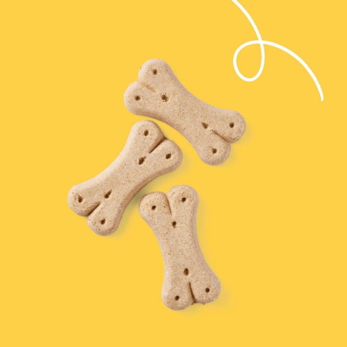 Yarrah - Vega Hondenkoekjes Bio - 5 x 500 g