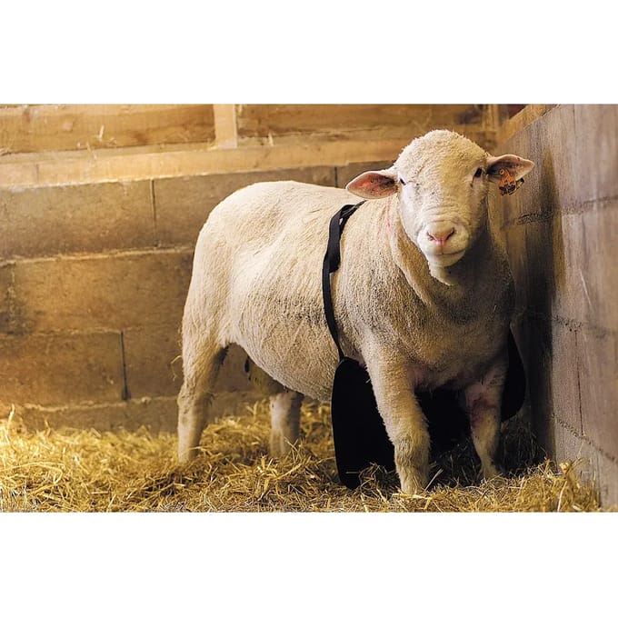 Ram schort Kamer