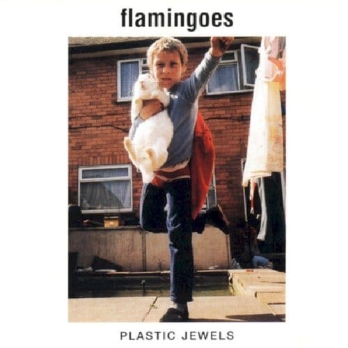 Plastic Jewels - Flamingoes